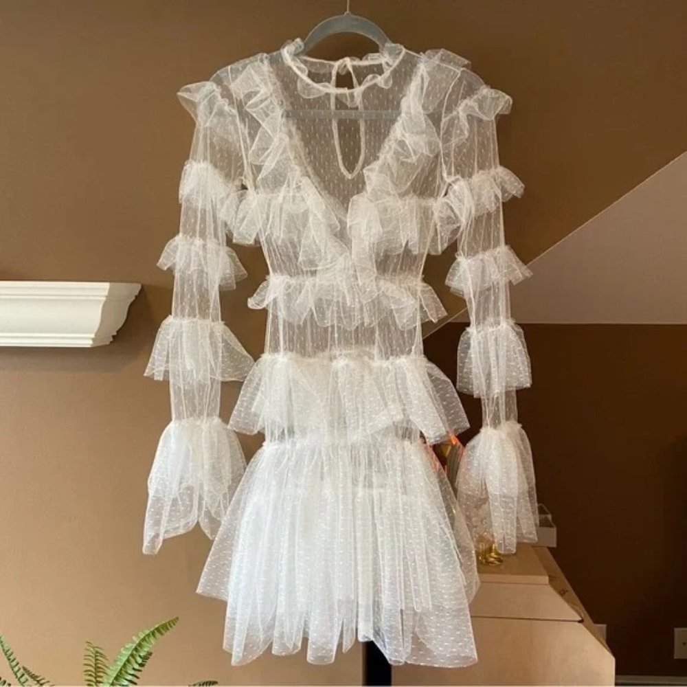 Untamed Petals by Amanda Judge Panache Ruffle Mini Dress